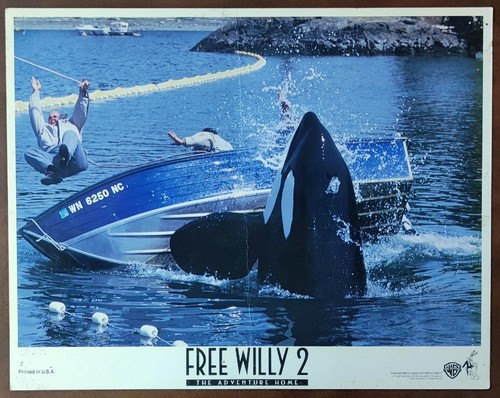 Whale flips boat - boat, with