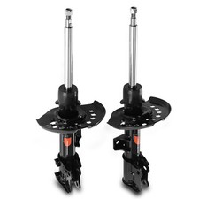 2x Ammortizzatori Anteriore