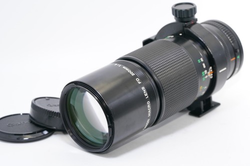 Quasi perfetto canon - [,