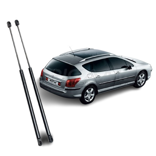 Molle gas pistoncini - a,
