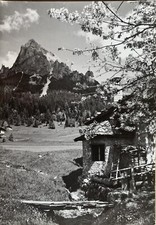 Cartolina Piereni Tonadico Primiero San Martino di Castrozza Trento