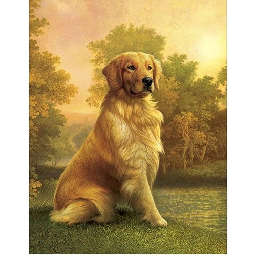 Diamond painting square drill - square,
