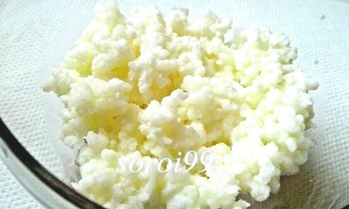 Grains kéfir lait 10g - de,