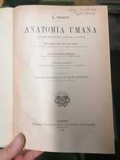 Anatomia umana. LIBRO OTTAVO