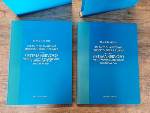 Netter sistema nervoso - "netter",