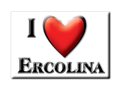 Ercolina calamita magnete - calamita, da