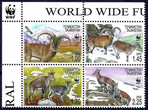 Tagikistan 2005 wwf bharal blu - 2005,