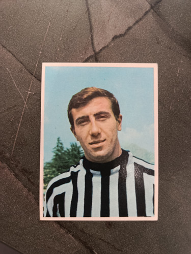 1966 imperia calciatori - imperia,