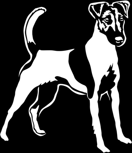 Adesivo fox terrier - fox,