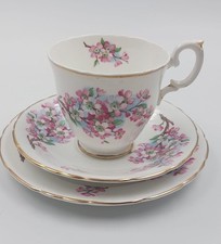 Tazza da tè con doppio piattino Staffordshire English Bone China made in England