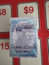 Magic the Gathering MTG Ice