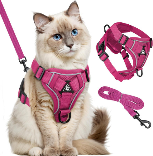 Pettorina per gatti con - pettorina,