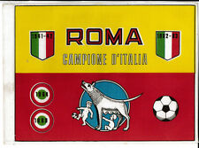 ROMA BANDIERA IN TELA 30 X 20