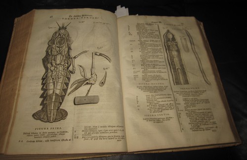 1720 folio thomae - 1720,