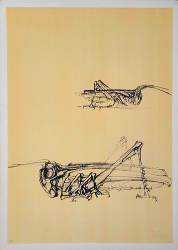 Cavallette litografia a due - litografia,