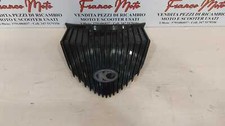 Fairing grille front shield