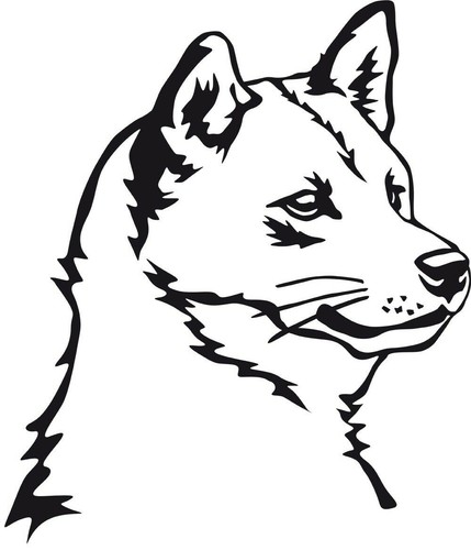 Adesivo shiba inu - shiba,
