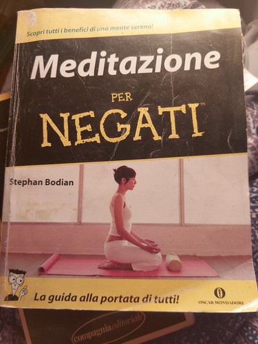 Stephan bodian meditazione per - stephan,
