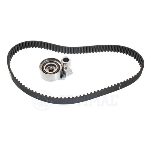 Kit cinghia distribuzione - cinghia,