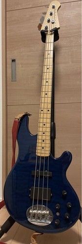 Lakland skyline lakeland con - lakland,