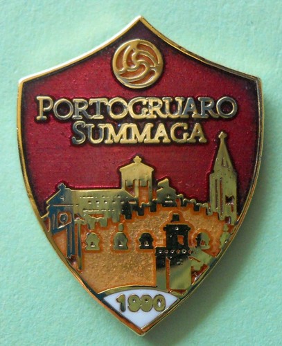 Distintivo spilla pin badge - distintivo,