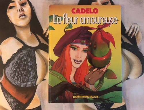 Fumetti per adulti fumetto - adulti,