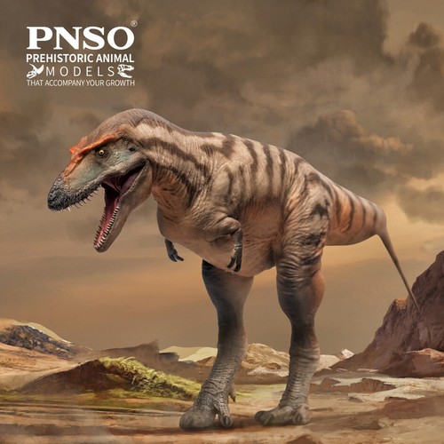 Pnso 2023 tristan - pnso,