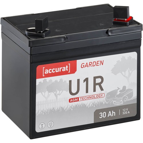 Batteria trattorino rasaerba