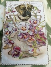 Viole In Rilievo Cane Molosso