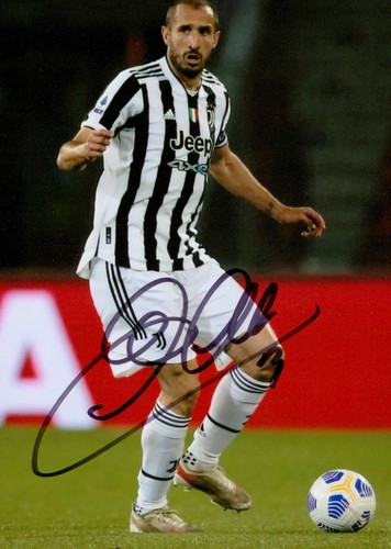 Giorgio chiellini foto - chiellini,