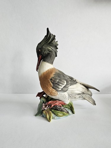 Statuina anatra merganser dal