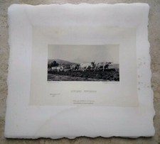 ?LITOGRAFIA FOTO 800 STAMPA GOUPIL C ATTELAGE NIVERNAIS BUOI CONTADINO CAMPI ?