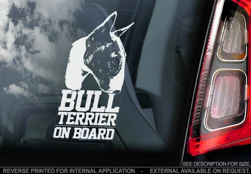 English bull terrier car - bull,