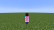 Account Minecraft Cherry Cape