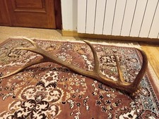 palco trofeo corno di singolo