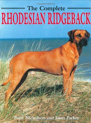 Complete rhodesian ridgeback - complete,