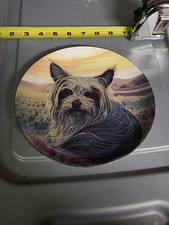 YORKY PIASTRA DIAMETRO 8 (BIN