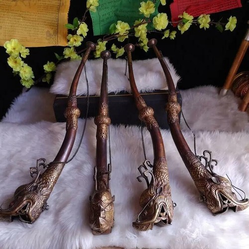 Tromba corno testa drago - corno,