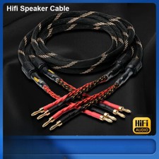 Una coppia cavo altoparlante