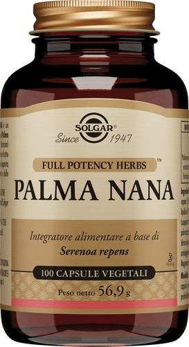 Palma nana serenoa - palma, repens