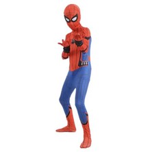 Costume Spider-Man  per