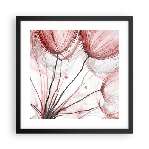 Poster 40x40cm denti leone - poster,