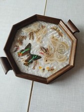 Antico Vassoio Servizio Legno