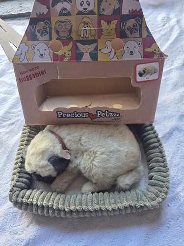 Prezioso petzzz carlino cane - prezioso,