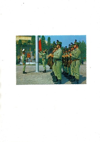 Artiglieria cavallo - artiglieria,