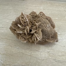 Rosa del Deserto Larga 20cm