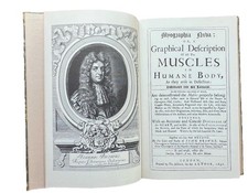 Graphical Description Of All