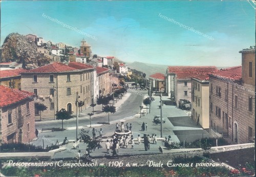 S27 cartolina pescopennataro - s27,