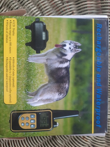 800m cani collare - cani,