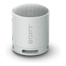 Sony Cassa wireless Compact Grigio 5W SRSXB100H CE7